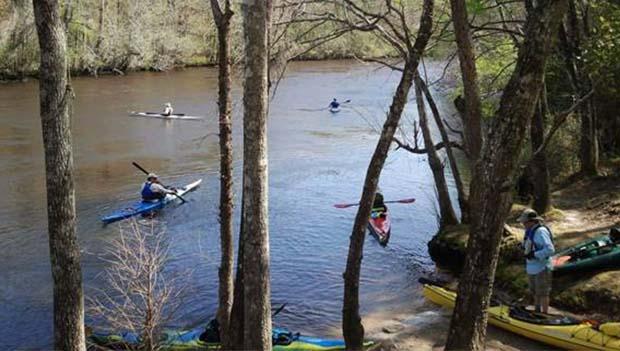 Womack Creek Campground